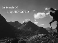 Cal Trout - Liquid Gold