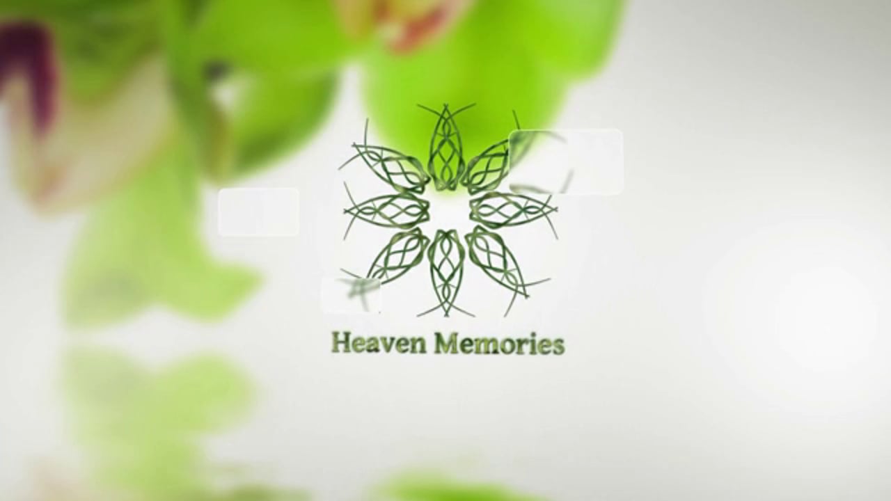 Heaven-Memories