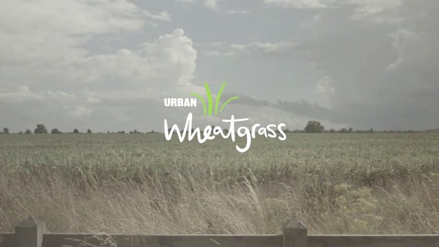 Videos from Phil Robertshaw