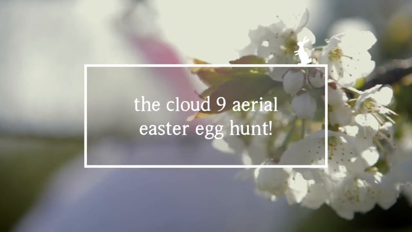 The Cloud 9 aerial Easter egg hunt! 3