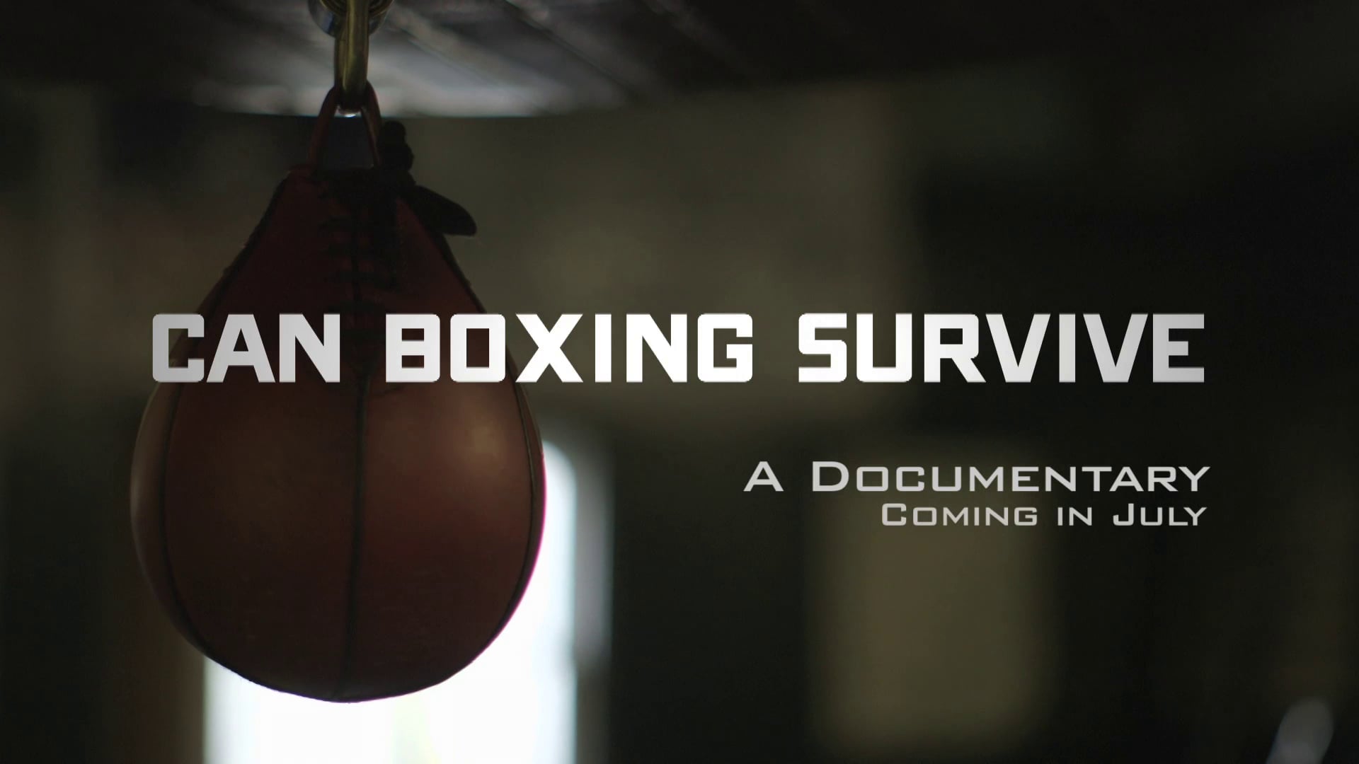 'Can Boxing Survive' Documentary Web Promo