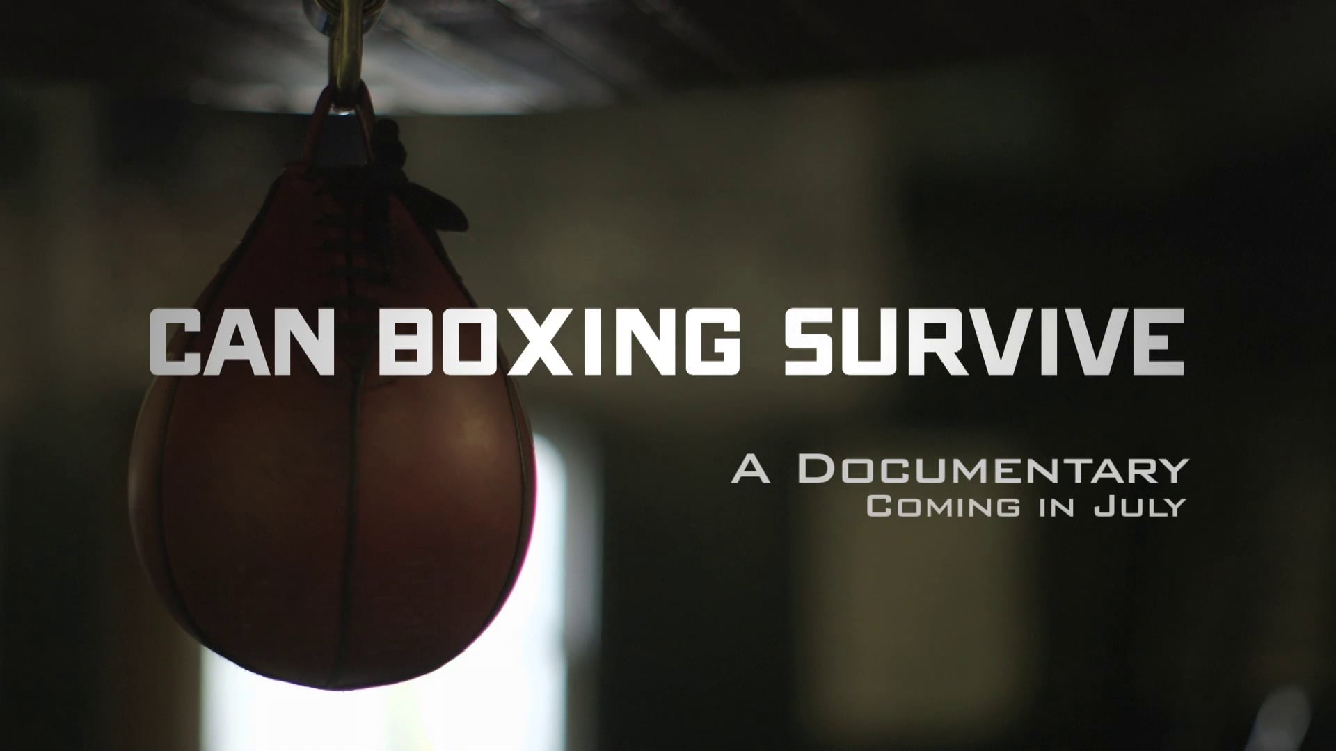 'Can Boxing Survive' Documentary Web Promo