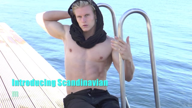 swedish male model