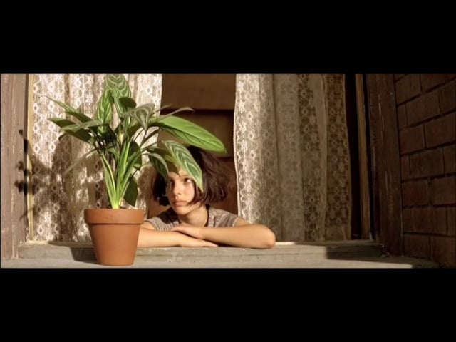 Léon: The Professional (plant) on Vimeo