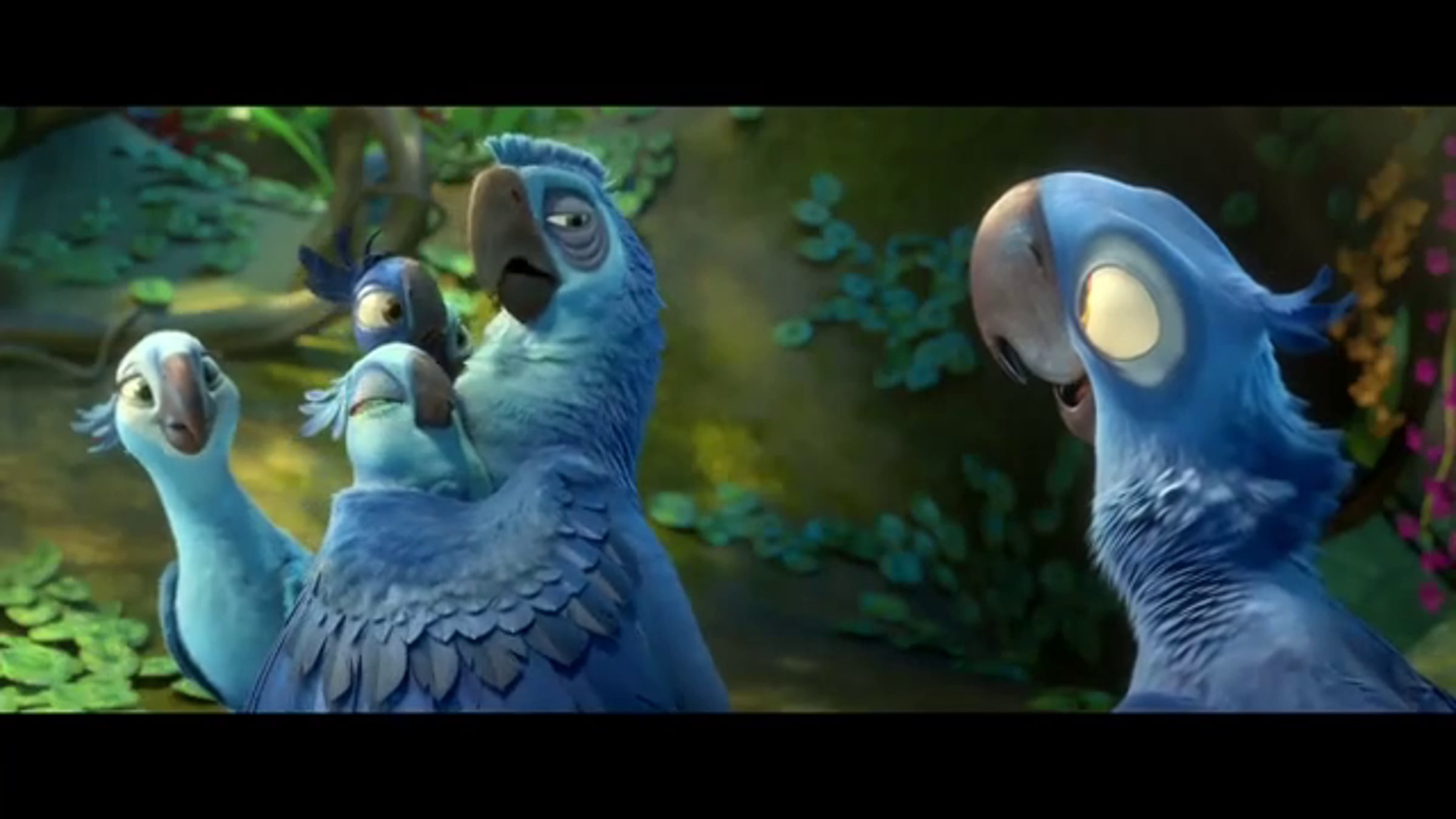 Rio 2 Official Trailer | Videos & Movies on Vimeo