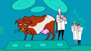 Related Embedded Video Item Thumbnail