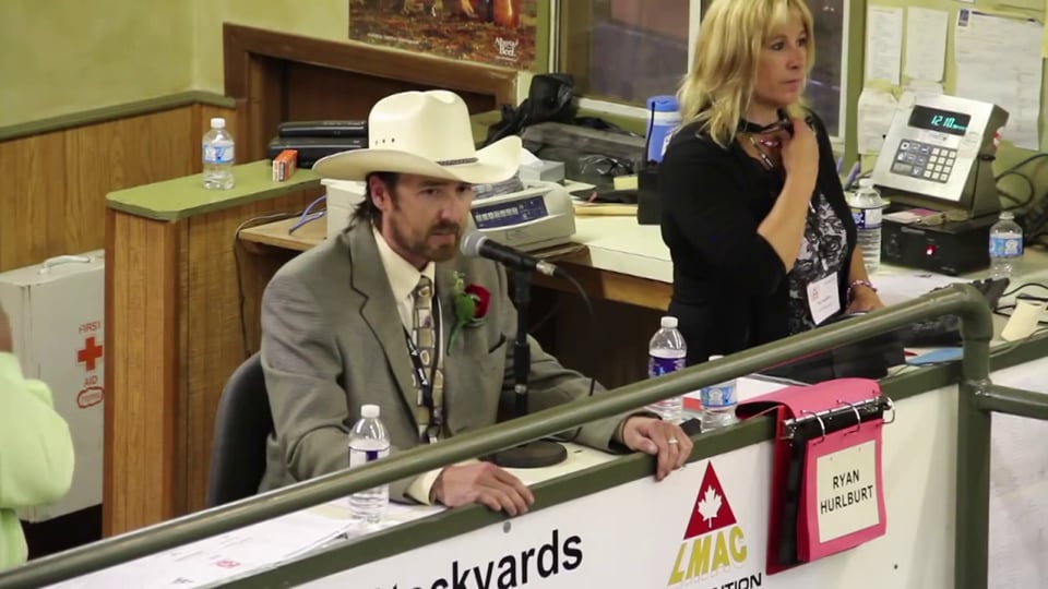 Livestock Cattlerap Sessions  - Rhett Parks