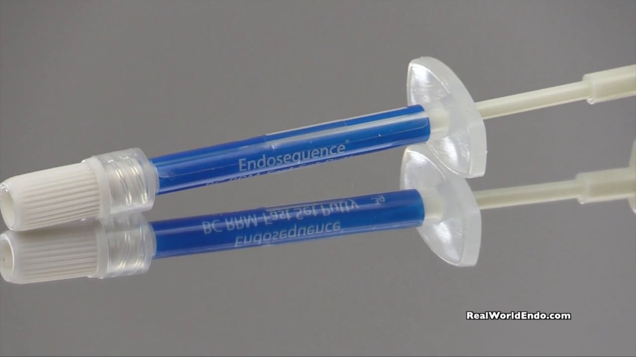 EndoSequence Root Repair Material Fast Set Putty Real World Endo