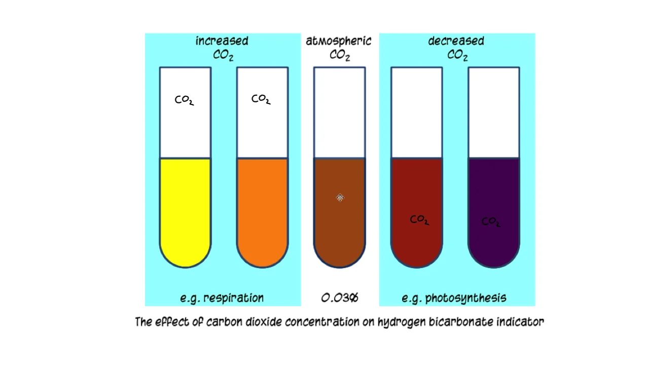 bicarbonate indicator experiment