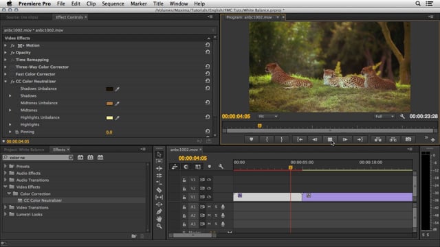 Animation Composer - After Effects Plugin by Mister Horse in Training on  Vimeo