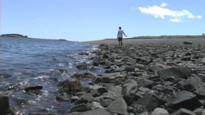 The best 2 videos Group