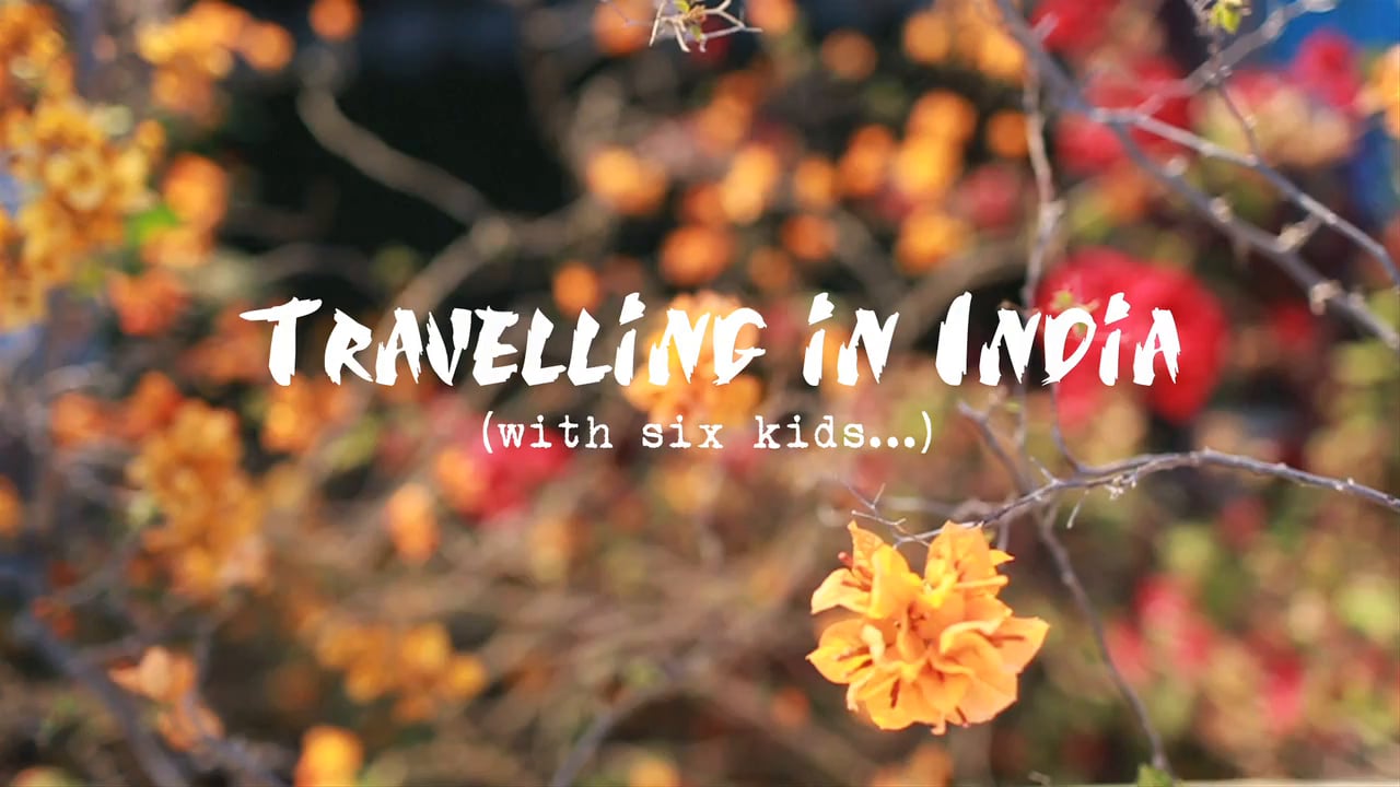 Tips on travelling in India! (with 6 kids!)