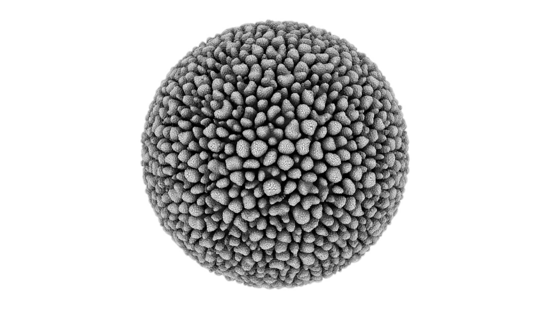 Cellular Forms HD on Vimeo