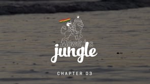 Mowgli's Jungle: Chapter 03