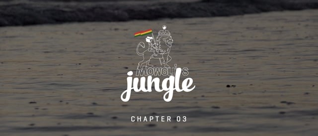 Mowgli's Jungle: Chapter 03