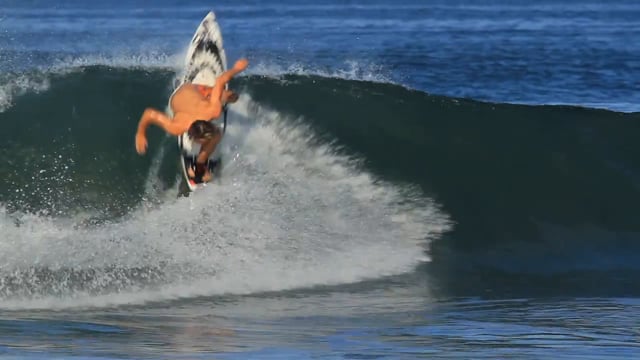 The Goose Gets Loose In Costa Rica from Matt Tromberg