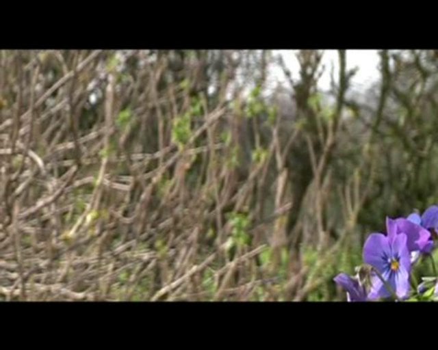 Spring afternoon on Vimeo