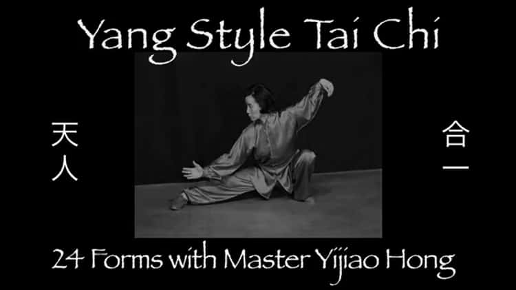 Tai Chi 24 Forms in 2 Views, with Master Yijiao Hong, International Tai Chi  Grand Champion on Vimeo