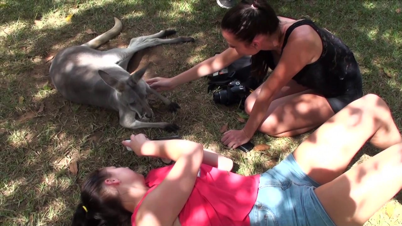 Film: Bli med Film&Media til Australia!