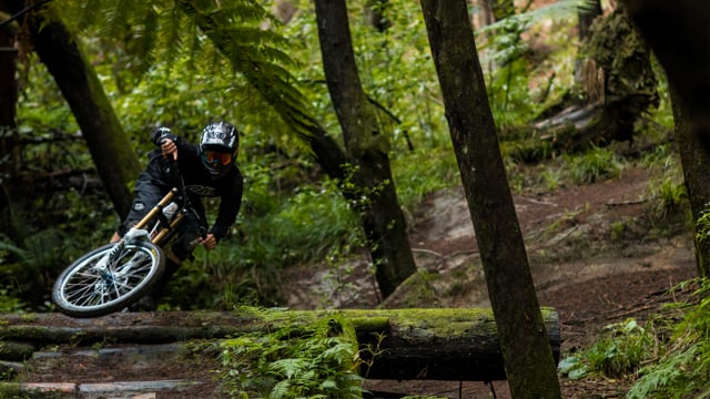 Ben Watkins - Autumn Loaming