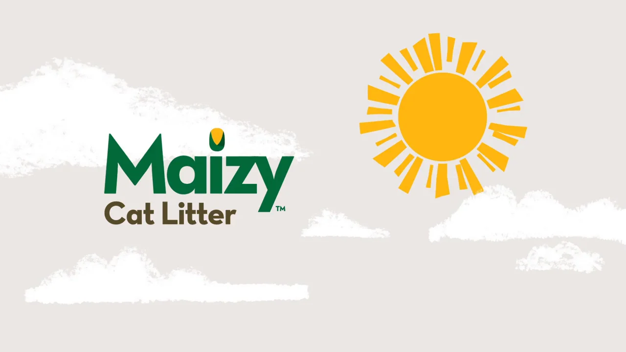 Maizy Cat Litter Promotional Video