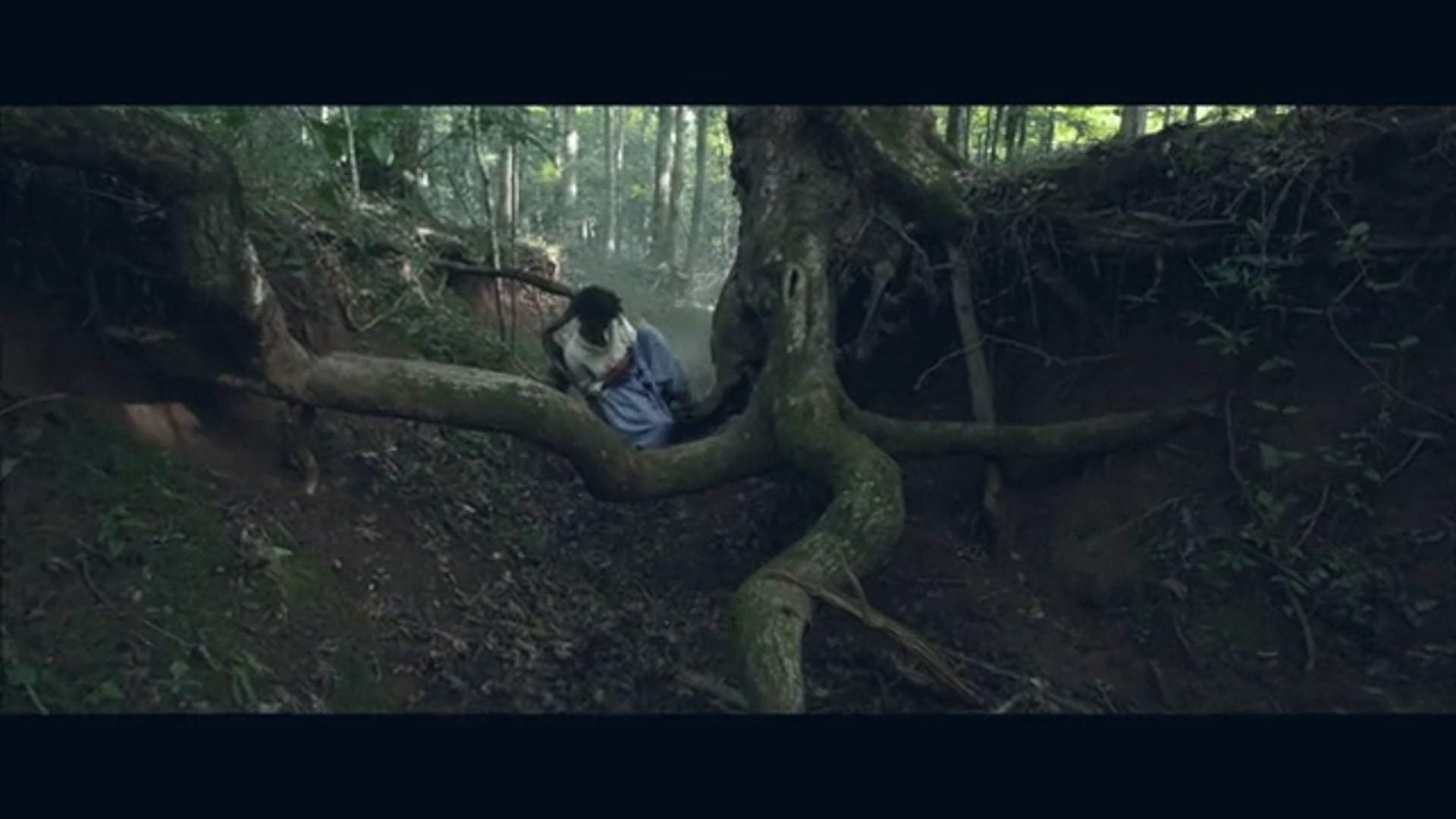 Graveyards Dogs - TEASER