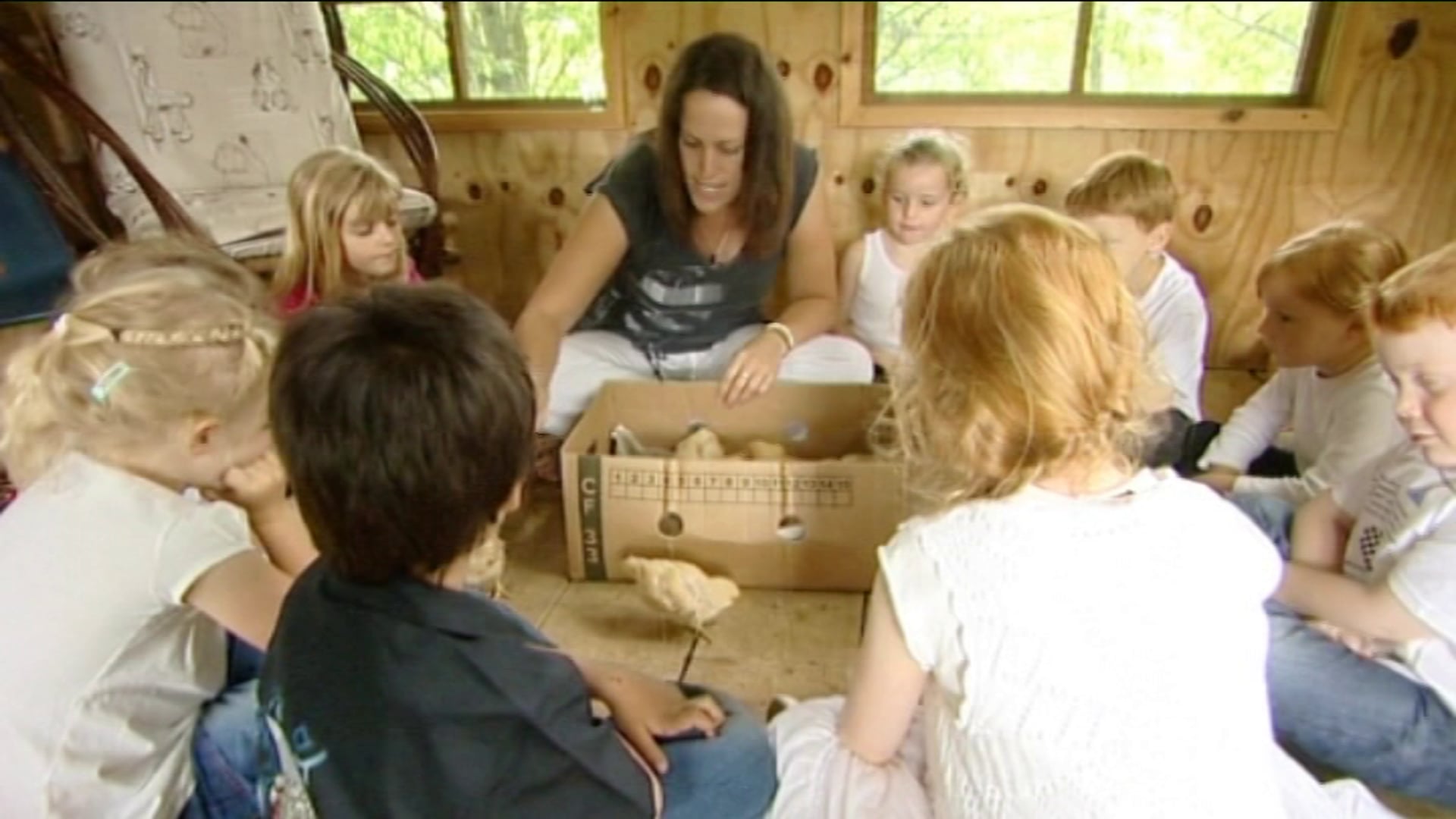 DoE Growing Schools 'Animals'