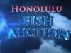 Honolulu Fish Auction