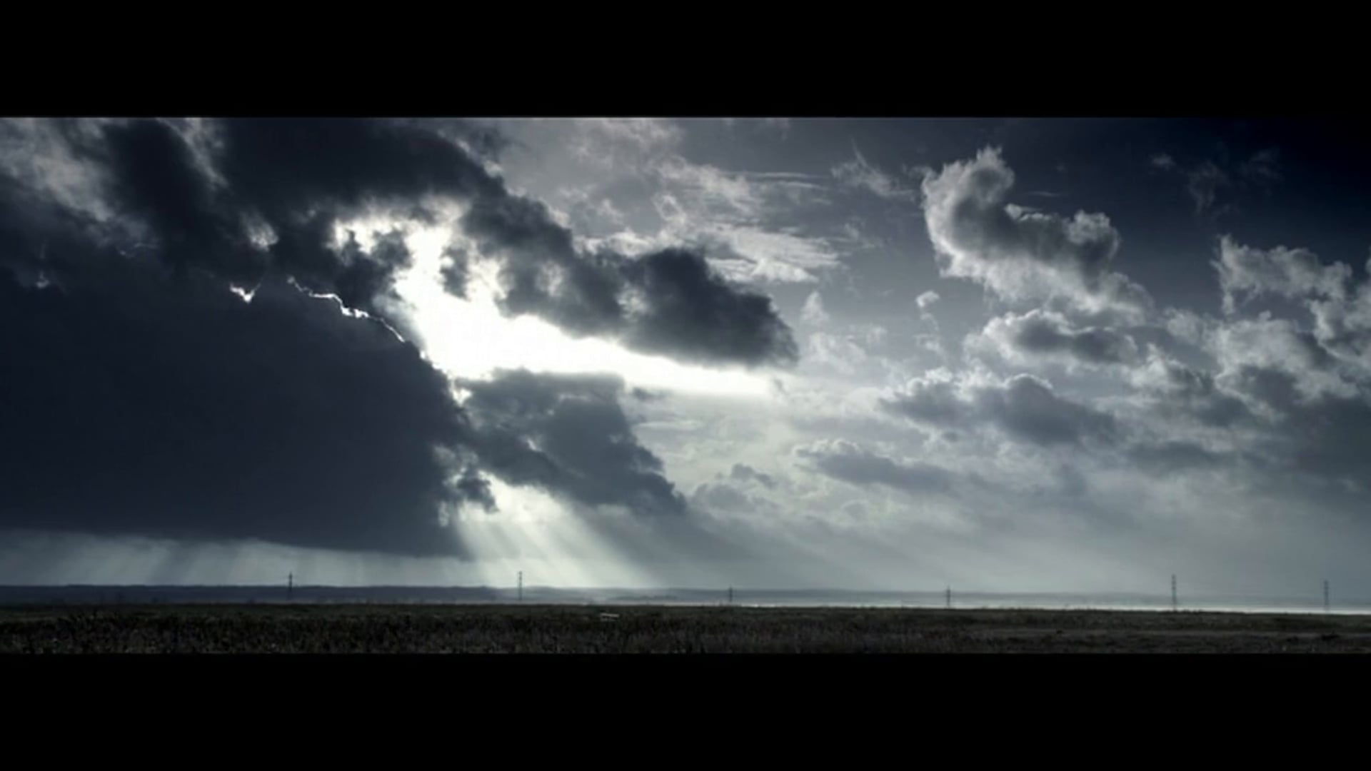 THE HIDE - official movie trailer