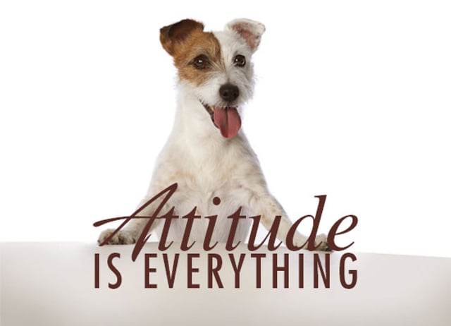 Simple Truths: Attitude is Everything Inspirational Movie