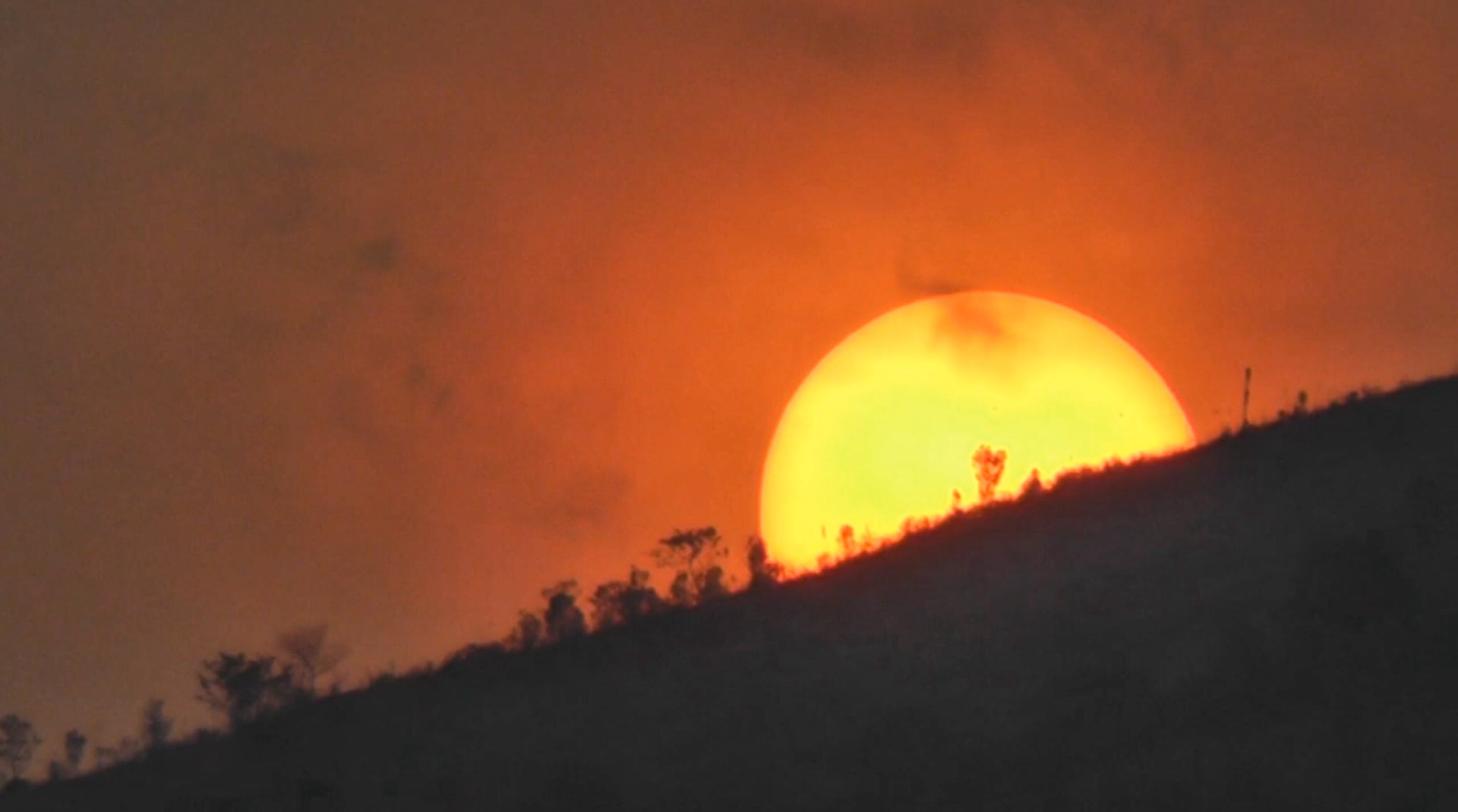 // Alleykat Races Vietnam (EP.11) on Vimeo