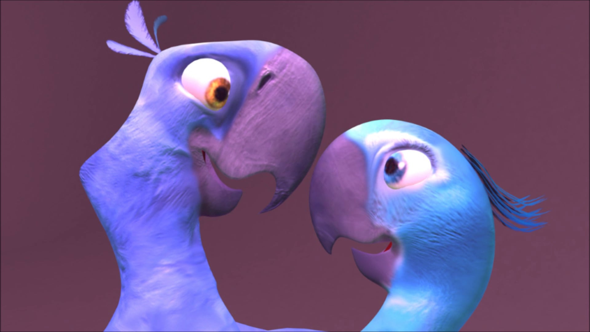 Rio - Blu and Jewel Animation on Vimeo
