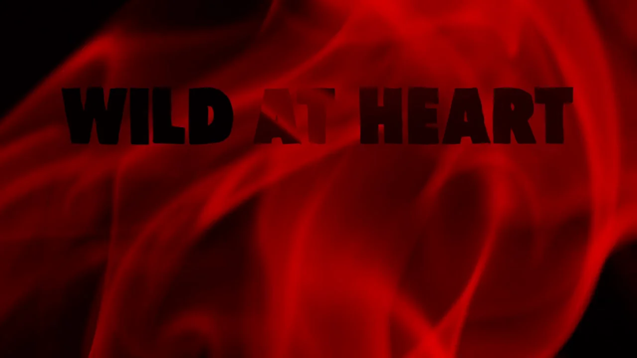 Wild at Heart (1990) — Art of the Title