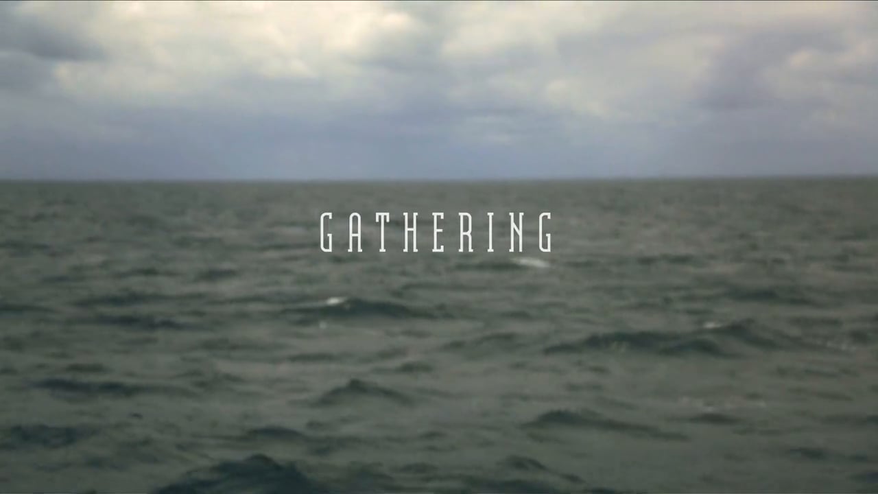 Watch Gathering Online Vimeo On Demand on Vimeo