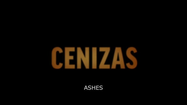 "Cenizas" (Ashes, 2013) international version