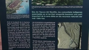 Del gàrum a la tonyina en salaó.