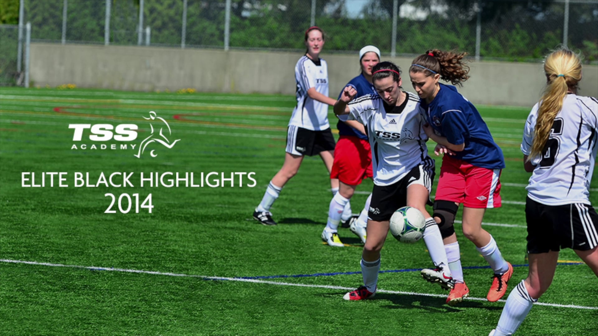 TSS Black Highlights (2014)