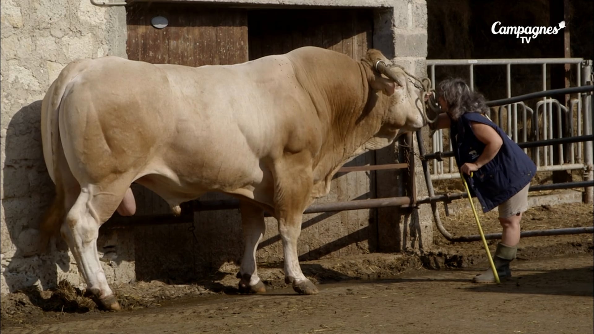 pub CAMPAGNE TV