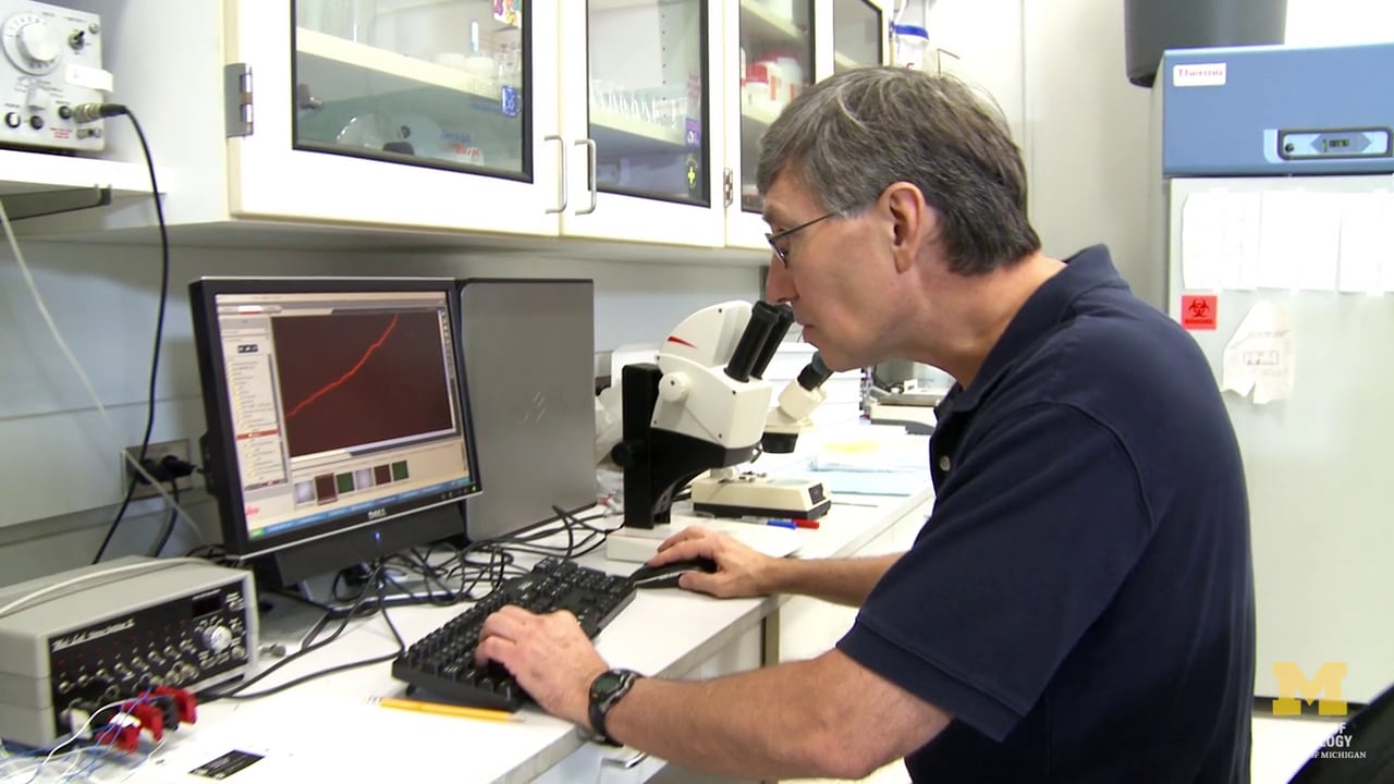 University of Michigan Metabolism Research in Focus