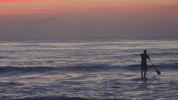 Coastal Paddle Surf HQ SUP SURF YOGA Promo Clip