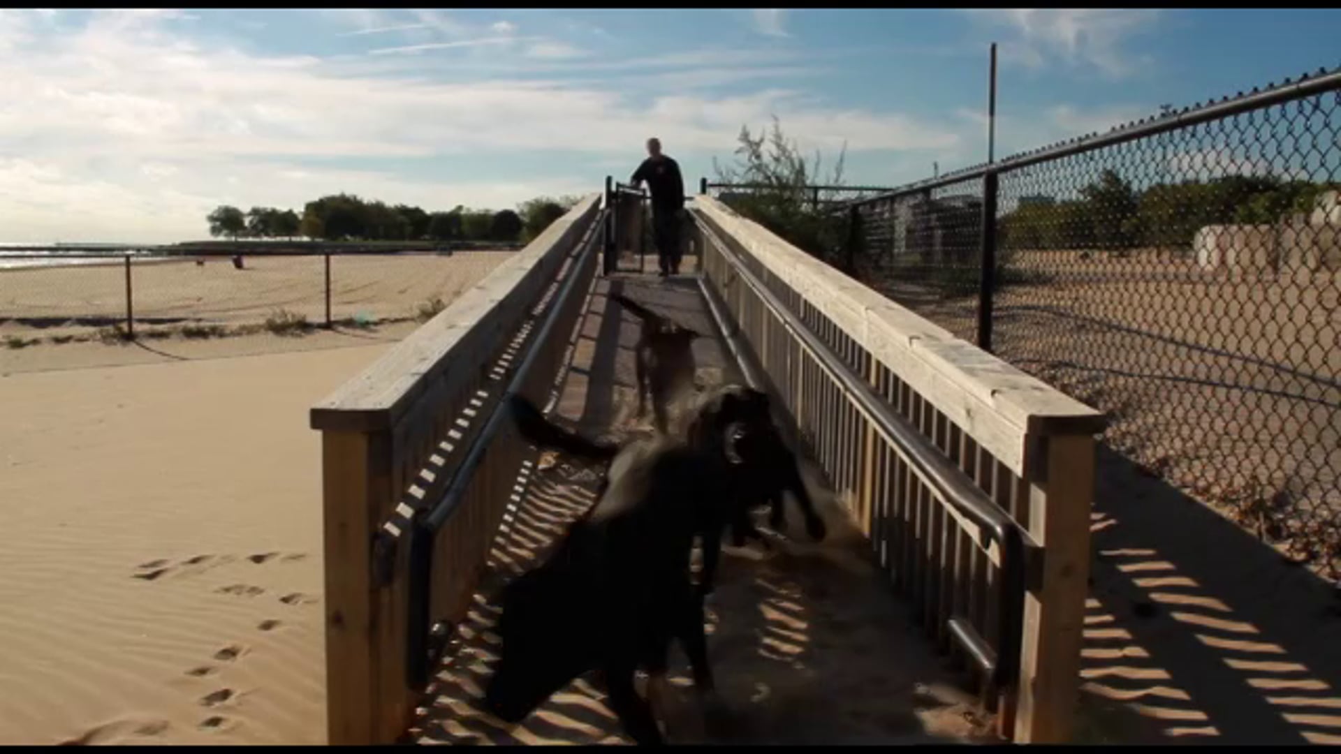 Playtime Pet Care, 2012