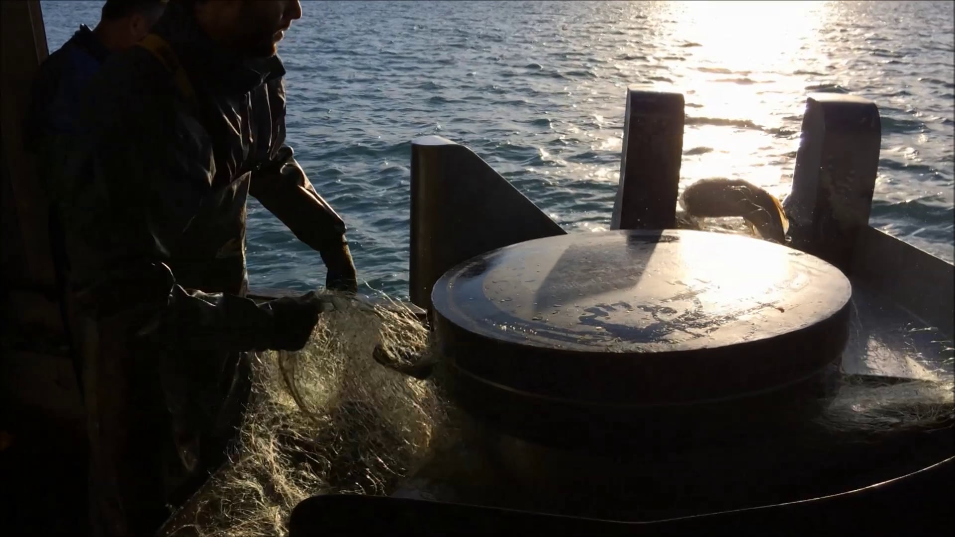 Commercial Freshwater Fishing, Lake Erie, ON on Vimeo