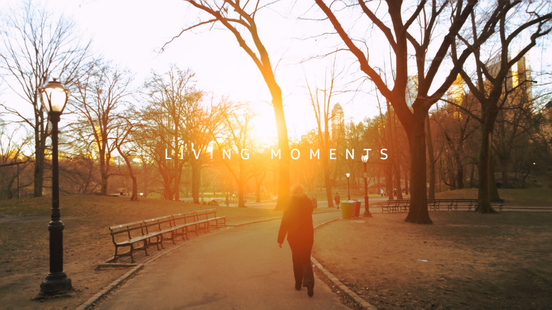 "Living Moments" - NYC streets frozen in time