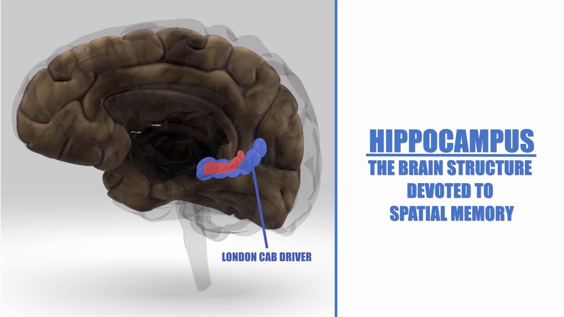 London Cabby Analogy