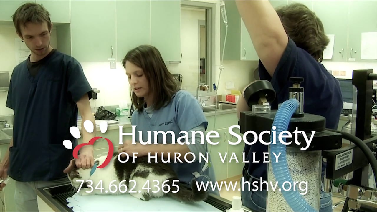 Humane Society of Huron Valley Clinic 30-Sec Spot