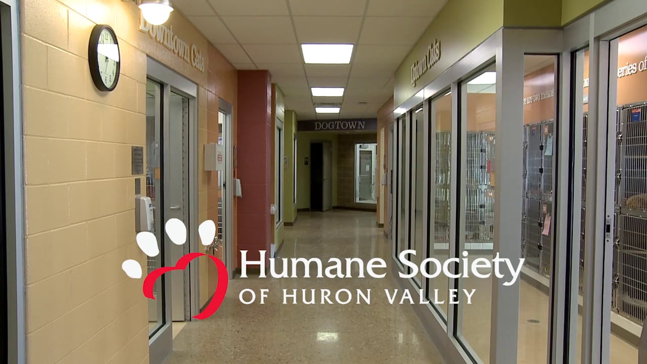 Humane Society of Huron Valley Evergreen 30-Sec Spot