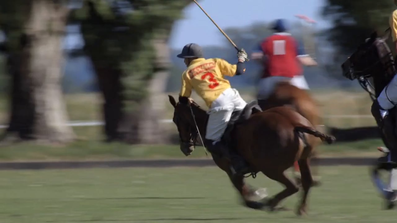 Polo - Trailer 2014