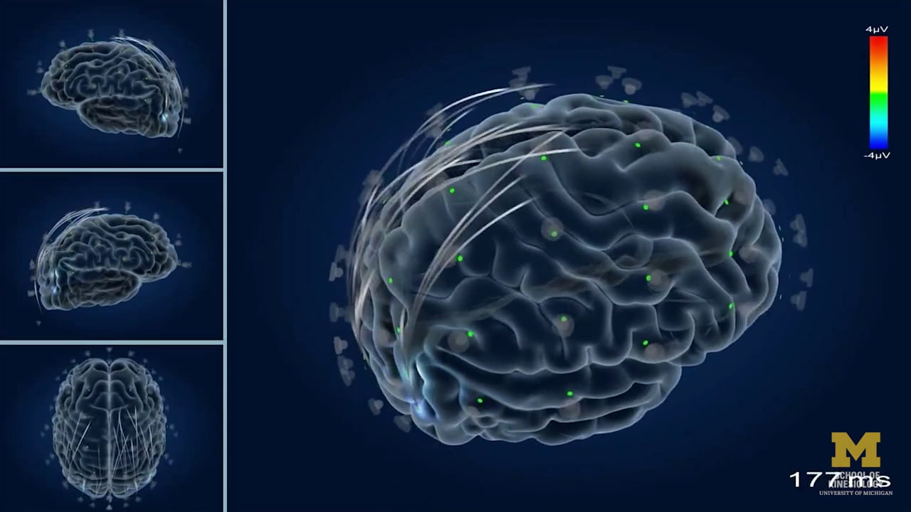University of Michigan Research in Focus