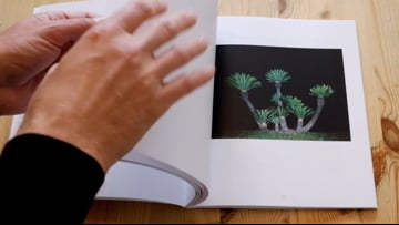 Rinko Kawauchi & Terri Weifenbach - Gift | Videos & Movies on Vimeo