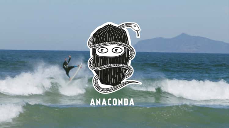 Anaconda surf store